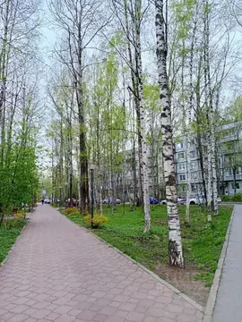 1-к кв. Ленинградская область, Всеволожский район, д. Новое Девяткино ...