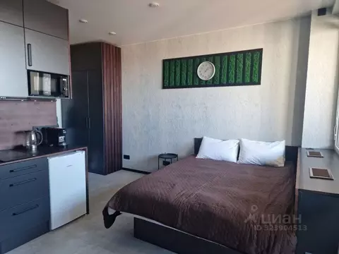 Студия Санкт-Петербург Планерная ул., 97к2 (20.0 м)