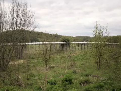 Участок в Смоленская область, Смоленский муниципальный округ, д. ...