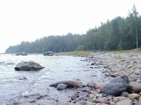Участок в Ленинградская область, Приозерский район, Плодовское с/пос ...