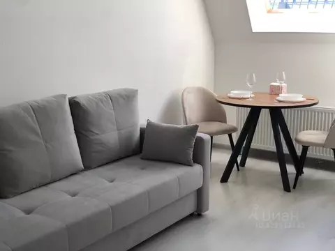 Студия Санкт-Петербург ул. Меридианная, 6к1 (24.0 м)