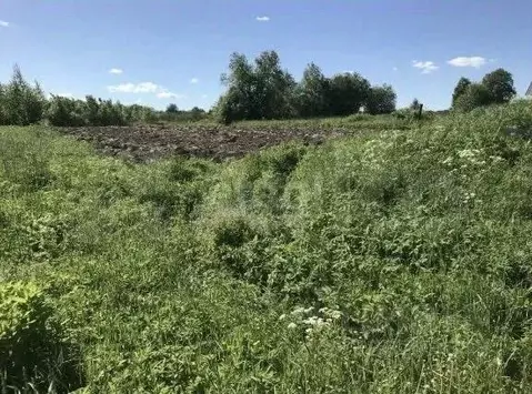 Участок в Ленинградская область, Волховский район, Усадищенское с/пос, ...
