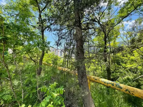 Участок в Крым, Ялта  (8.8 сот.)