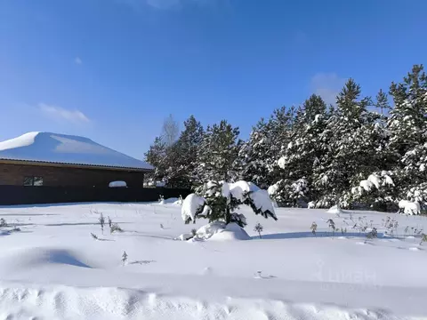 Участок в Московская область, Раменский муниципальный округ, с. Речицы ...