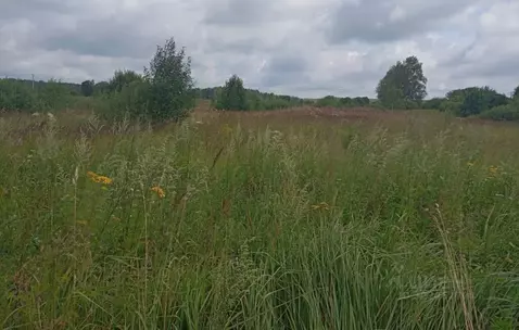 Участок в Московская область, Можайский муниципальный округ, Дома ...