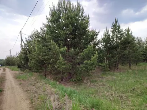 Участок в Челябинская область, Красноармейский муниципальный округ, ...