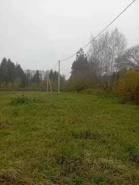 Участок в Калининградская область, Гурьевский муниципальный округ, ...