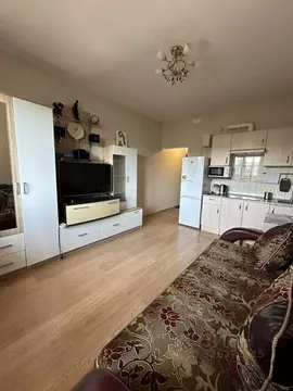 Студия Московская область, Ногинск Богородский городской округ, ул. ...