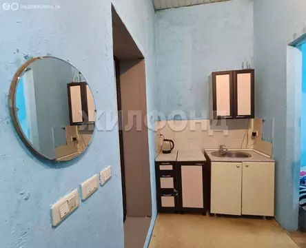 1-комнатная квартира: Барнаул, Северо-Западная улица, 56 (19.6 м)