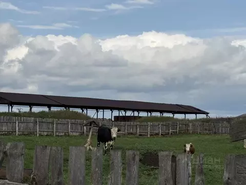 Участок в Свердловская область, Алапаевский район, с. Коптелово ул. ...