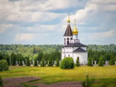 Участок в Владимирская область, Александровский муниципальный округ, ...