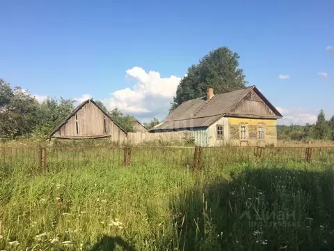 Дом в Калужская область, Жиздринский муниципальный округ, Младенск ...