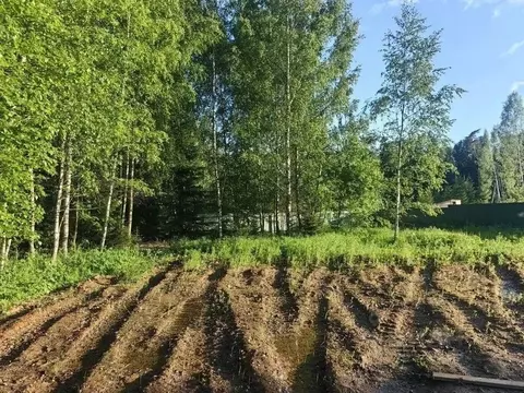 Участок в Московская область, Солнечногорск городской округ, Звездочка ...