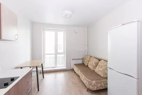 Студия Новосибирская область, Новосибирск ул. Забалуева, 102/1 (19.5 ...