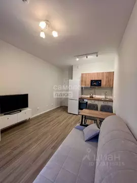 Студия Санкт-Петербург Октябрьская наб., 40 (25.0 м)