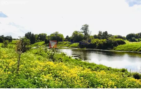 Участок в Московская область, городской округ Кашира, деревня Большое ...