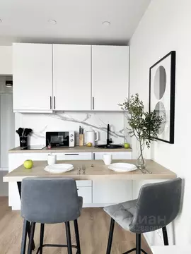 Студия Москва ул. Академика Павлова, 38к1 (21.8 м)