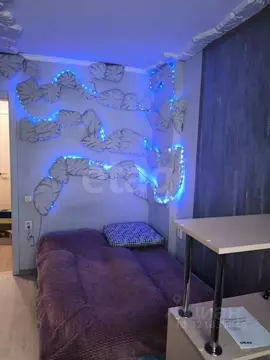 Студия Кемеровская область, Новокузнецк просп. Дружбы, 30 (17.3 м)