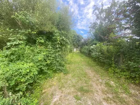 Участок в Калининградская область, Калининград Дельфин СНТ, ул. ...