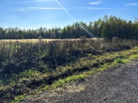 Участок в Московская область, Раменский муниципальный округ, Оттепель ...