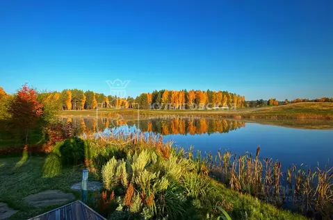 Участок в Свердловская область, Сысертский муниципальный округ, с. ...