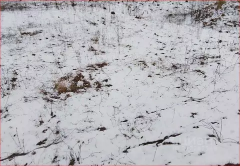 Участок в Орловская область, Орловский район, с. Альшань  (6.1 сот.)