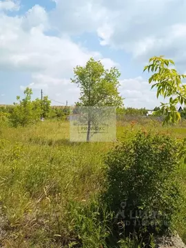 Участок в Челябинская область, Магнитогорск Садовое товарищество ...