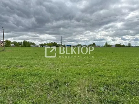 Участок в Костромская область, Костромской район, Шунгенское с/пос, д. ...