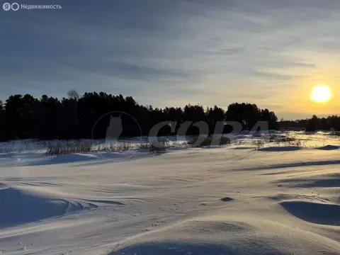 Участок в Тюменский муниципальный округ, деревня Криводанова (12 м)
