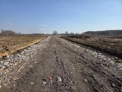 Участок в Калининградская область, Гурьевский муниципальный округ, ...