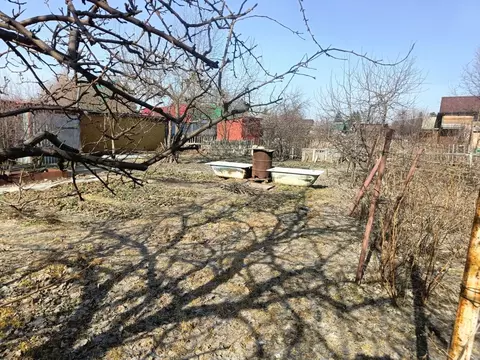 Участок в Омская область, Омск Виктория СНТ,  (5.25 сот.)