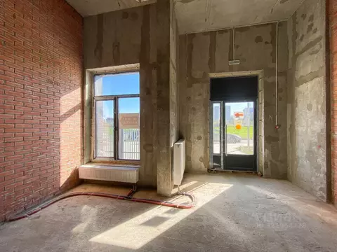 Помещение свободного назначения в Санкт-Петербург ул. Типанова, 22 (92 ...