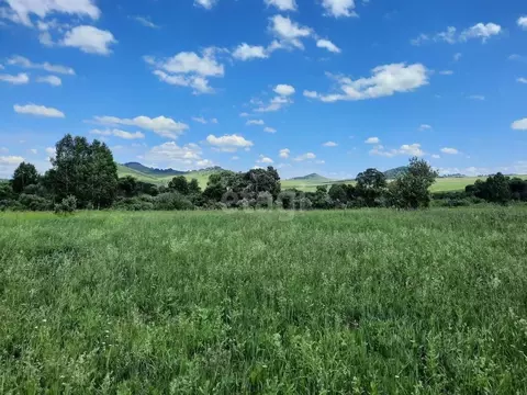 Участок в Алтайский край, Алтайский район, с. Куяган  (520.0 сот.)