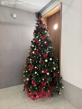 Квартира-студия: Москва, Очаковское шоссе, 9А (24 м)