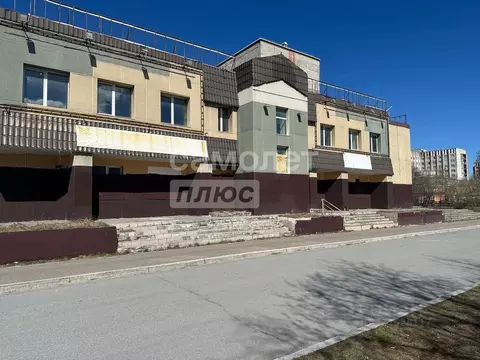 Торговая площадь в Ханты-Мансийский АО, Сургут просп. Мира, 45 (1270 ...