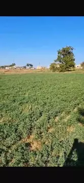 Дом в Крым, Красногвардейский район, с. Ленинское ул. Садовая, 2 (45 ...