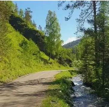 Участок в Алтай, Чемальский район, пос. Верх-Анос ул. Центральная ...