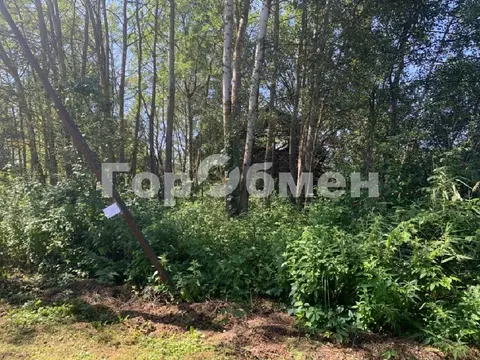 Продается участок в СНТ Журналист