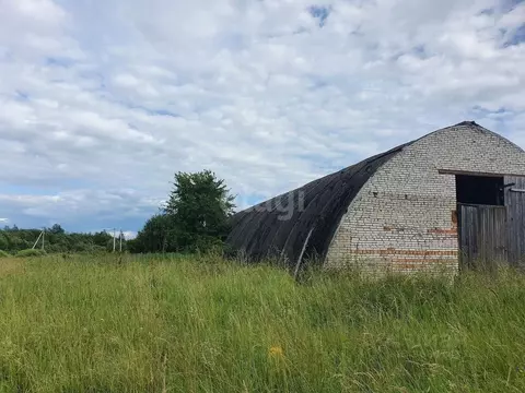 Склад в Псковская область, Пушкиногорский район, Велейская волость, д. ...