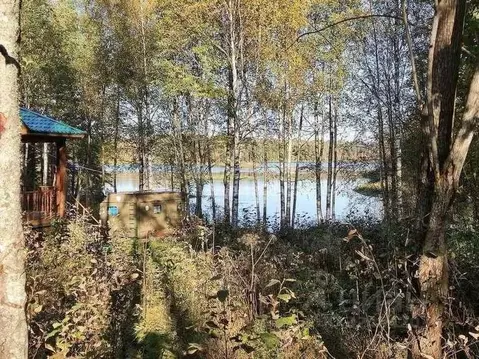 Участок в Новгородская область, Любытинское с/пос, д. Красная Гора 4Д ...