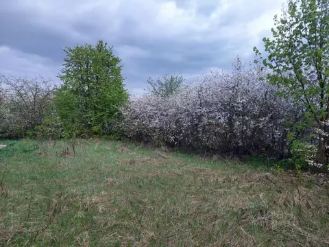 Участок в Татарстан, Пестречинский район, Кощаковское с/пос, Родник ...
