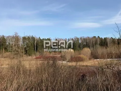 Участок в Санкт-Петербург пос. Тярлево, Парковая ул., 5 (13.0 сот.)