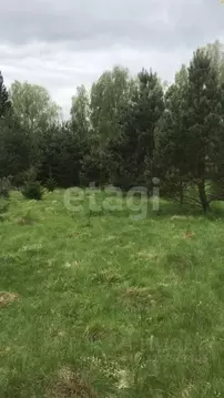 Участок в Калужская область, Малоярославецкий муниципальный округ, ...