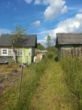 Участок в Ленинградская область, Сланцы Дружба СНТ,  (5.0 сот.)
