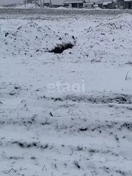 Участок в Белгородская область, Белгородский район, Головинское с/пос, ...