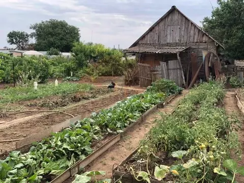 Участок в Крым, Сакский район, Ореховское с/пос, с. Червоное ул. ...
