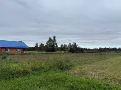Участок в Костромская область, пос. Антропово  (13.56 сот.)