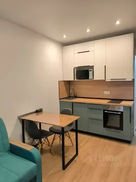 Студия Москва ул. Трехполье, 6к1 (19.7 м)