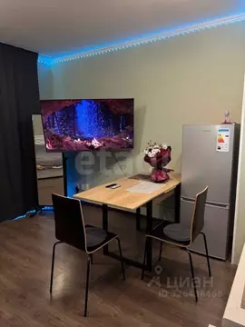 Студия Санкт-Петербург пос. Парголово, проезд Толубеевский, 20к1 (30.0 ...