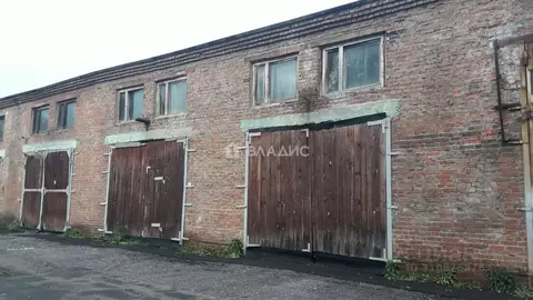 Помещение свободного назначения в Владимирская область, Владимир ...